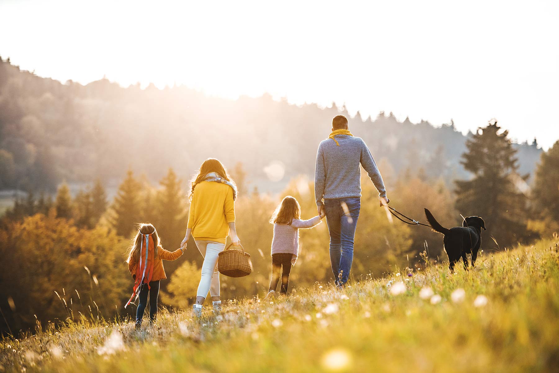 Autumn-family